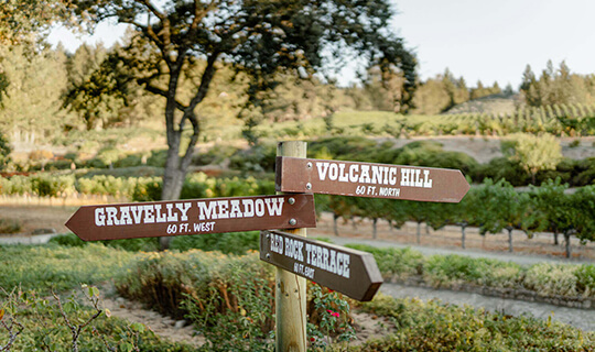 The Diamond Creek vineyard wayfinder signs.