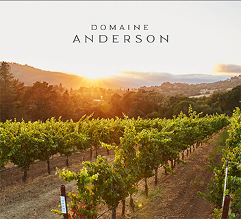 Domaine Anderson website front page header.