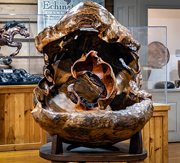A wood sculpture at the Oklahoma Forest Heritage Center