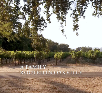 Segment of Groth Wines home page